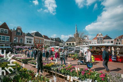 031 Fraai gelegen 2 persoons vakantiehuisje met uitzicht op natuurgebied in Giethoorn