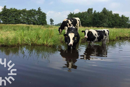 002 Leuk appartement voor 4 tot 6 personen met infrarood sauna in hartje Giethoorn