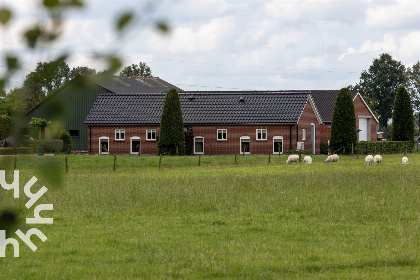 021 Vakantiehuis voor 4 personen in het midden van weilanden in Haarle Hellendoorn, Overijssel