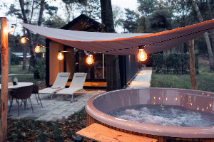 Modern ingerichte 4 persoons lodge met hottub in Haarle