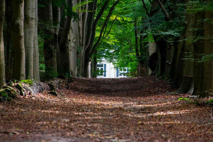 028 5 persoons vakantiehuis met tuinkamer op vakantiepark Hellendoorn