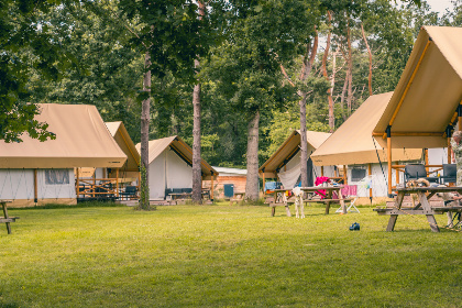 008 Chalet voor 4 personen met buiten terras op vakantiepark Reestervallei in Overijssel