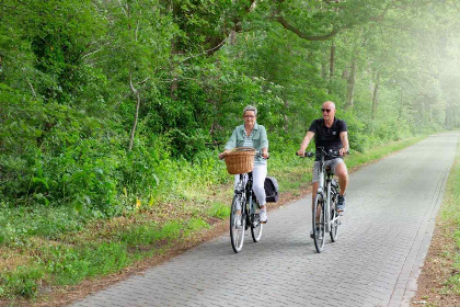 011 Comfortabele 4 persoons woonboerderij in IJhorst