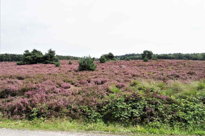 026 Gezellige zes persoons vakantiewoning op rustig park