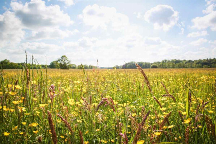 023 Mooie 4 persoons woonboerderij in IJhorst