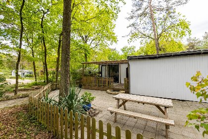036 Villa Fox
