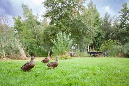 025 Vrijstaand 6 persoons vakantiehuis in Kalenberg in De Weerribben