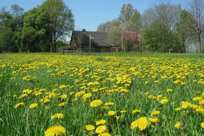 Nederland, Overijssel, Kamperveen