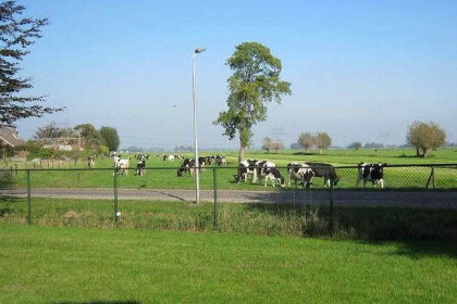 001 Prachtig gelegen 6 persoons vakantiehuis nabij Kampen