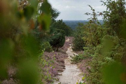 017 Prachtig 4 persoons vakantiehuis bij de Lemelerberg