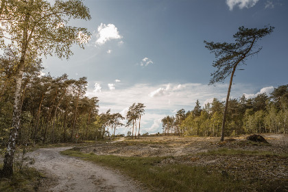 026 Prachtig 6 persoons vakantiehuis bij de Lemelerberg