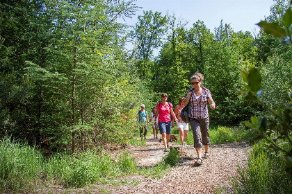 012 Twee heerlijke 8 persoons landhuizen naast elkaar op Landgoed Het Borghuis