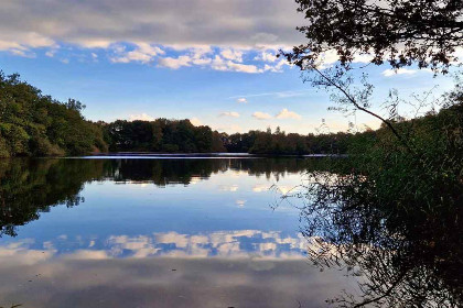 002 5P vakantiehuis met sauna, midden in de natuur in Marienberg, nabij Hardenberg en Ommen