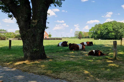 007 5P vakantiehuis met sauna, midden in de natuur in Marienberg, nabij Hardenberg en Ommen