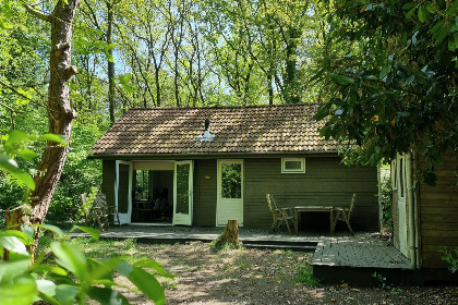010 5P vakantiehuis met sauna, midden in de natuur in Marienberg, nabij Hardenberg en Ommen