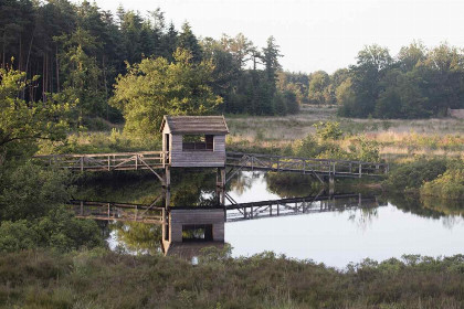 011 5P vakantiehuis met sauna, midden in de natuur in Marienberg, nabij Hardenberg en Ommen