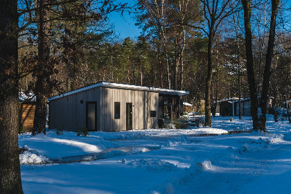 021 Bos Lodge   4 personen