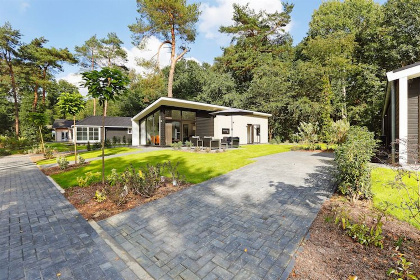 001 Bos Lodge   6 personen