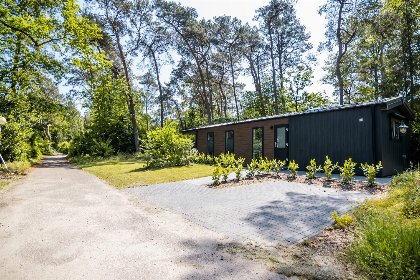 014 Bos Lodge Comfort   2 personen