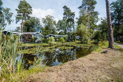 010 De Bosrand   4 personen