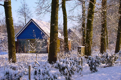 008 Bungalow IJssel Comfort | 4 personen