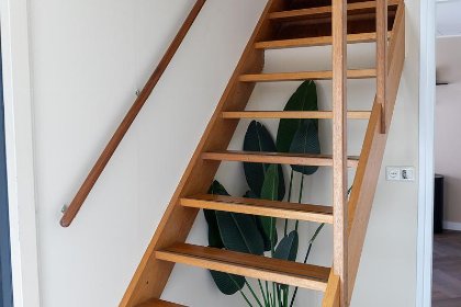 012 Bungalow Palthe Premium | 4 personen