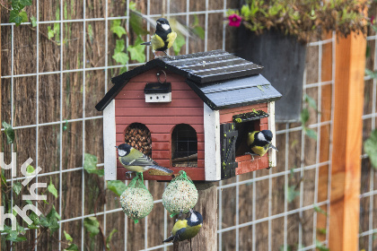 005 Sfeervol appartement voor 2 volw. en 2 kids met een hottub in de tuin in Nieuw Heeten