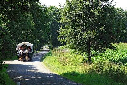 020 Gastenverblijf Prinsensteeg