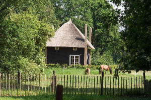 Heerlijk 5 persoons vakantiehuis in Salland met sauna