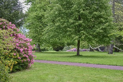 052 Wellnesshuisje Engelse Tuin