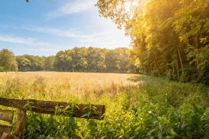 056 Wellnesshuisje Engelse Tuin