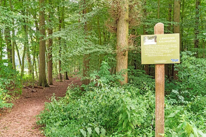 041 Wellnesshuisje Kalheupink
