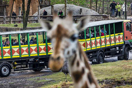 020 Luxe 4 persoons vakantiehuis op een huisdiervriendelijk vakantiepark nabij Hardenberg