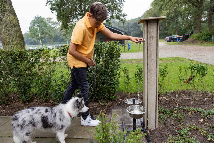 032 Luxe 4 persoons vakantiehuis op een huisdiervriendelijk vakantiepark nabij Hardenberg