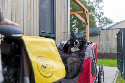 044 Luxe 6 persoons vakantiehuis op een huisdiervriendelijk vakantiepark nabij Hardenberg