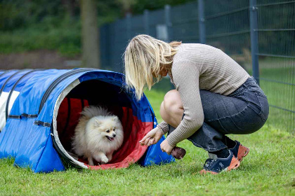 022 Modern 4 persoons vakantiehuis op een huisdiervriendelijk vakantiepark nabij Hardenberg