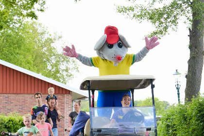 013 Comfort kampeerplaats hondenvrij