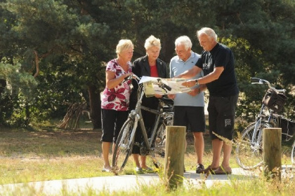 025 Gezellige 8 persoons Lodge op de Zandstuve nabij Hardenberg