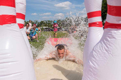 017 Luxe 12 persoons vakantiehuis op vakantiepark de Zandstuve nabij Hardenberg