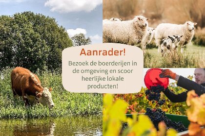 017 Forest doglodge | 4 personen
