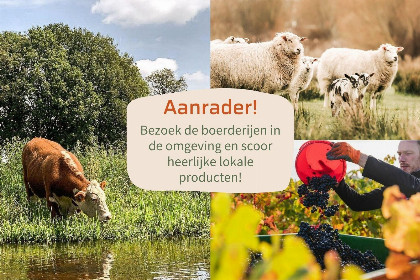 019 Forest doglodge met hottub | 4 personen