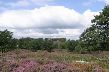 019 Mooie 4 persoons bungalow op een rustig vakantiepark in Rijssen, Overijssel