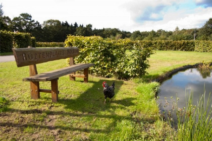 017 Prachtig 4 persoons vakantielodge met hottub in Salland   Overijssel