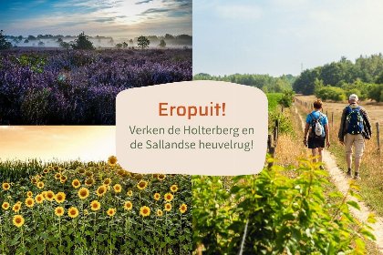 020 Tiny Cabin met Hottub I 4 personen