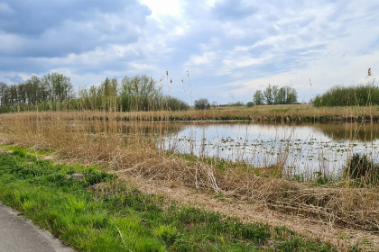 009 Sfeervol 4 persoons vakantiehuis in Scheerwolde vlakbij Nationaal Park Weerribben Wieden