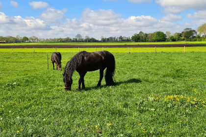 010 Sfeervol 4 persoons vakantiehuis in Scheerwolde vlakbij Nationaal Park Weerribben Wieden