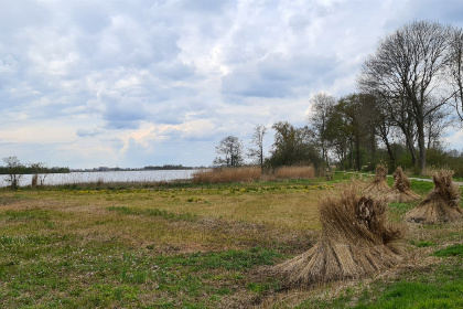 036 Sfeervol 4 persoons vakantiehuis in Scheerwolde vlakbij Nationaal Park Weerribben Wieden