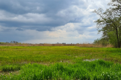 048 Sfeervol 4 persoons vakantiehuis in Scheerwolde vlakbij Nationaal Park Weerribben Wieden