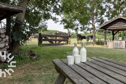 020 4 persoons vakantiehuis gelegen aan de rand van natuurgebied Weerribben Wieden, Overijssel