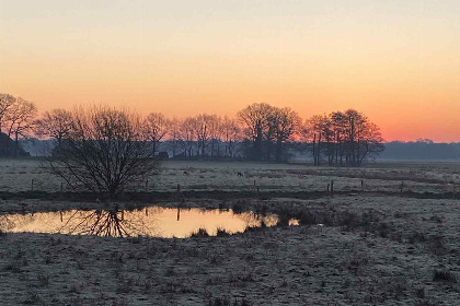 003 Rustig gelegen blokhut voor 2 personen nabij het bos tussen IJhorst en Staphorst